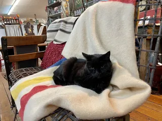 Sweet William Antique Mall