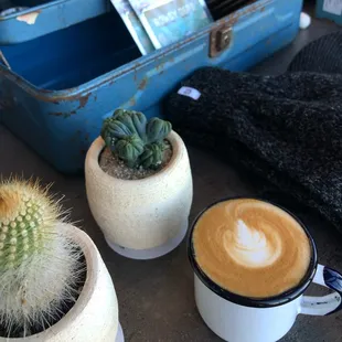 Oat Milk Cortado