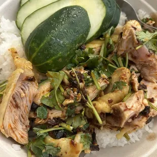 Sichuan Spicy Chicken Rice