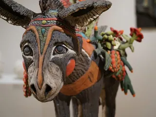 Shutterbug Photography Training