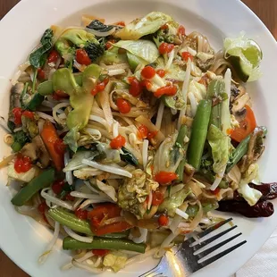 Vegetable Drunken Noodles