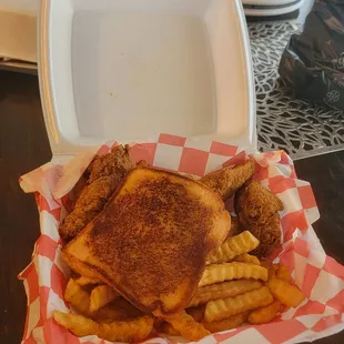 Plain wings and fries