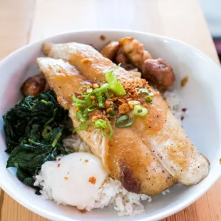 Swai Fish bowl
