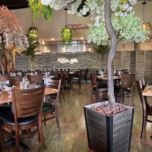 a tree in a planter in a restaurant