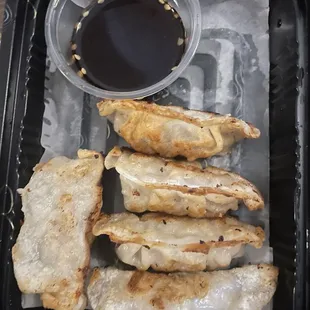 Gyoza (6)