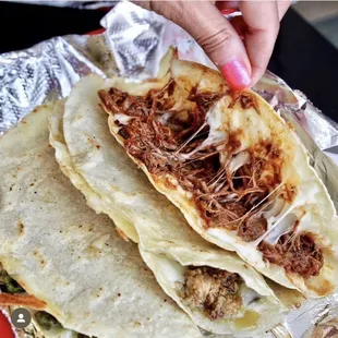 Tinga de res (shredded beef) quesadilla