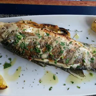 food, fish, grilled seafood, grilled fish, seafood