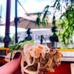 Close-Up of the Asian Braised Beef Tako! Moist with the Utmost Flavor~