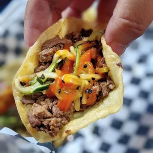a hand holding a taco