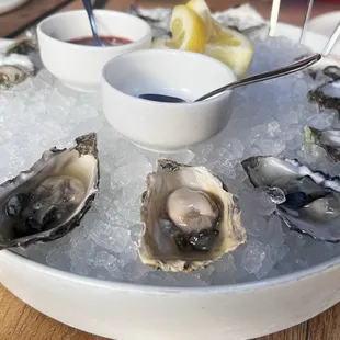 Oysters