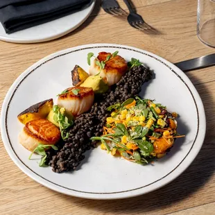Scallops