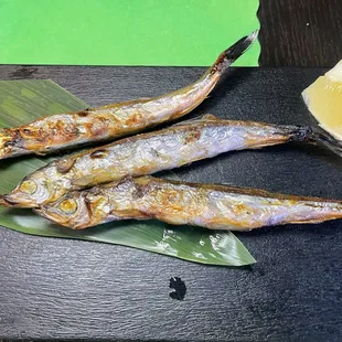 05/04/23 - Shishamo $5.95