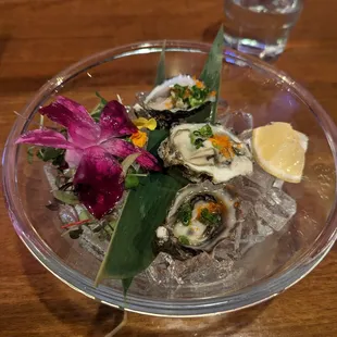 Oysters!