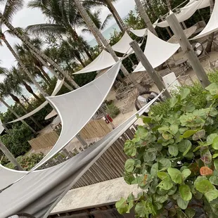 a hammock and palm trees