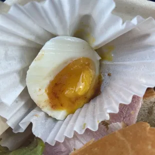 Farm fresh egg