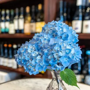 a vase of blue hydrants on a table