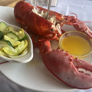 Stuffed Lobster