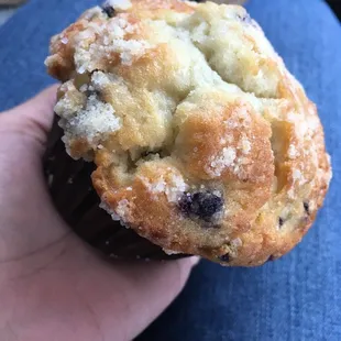 Blueberry muffin