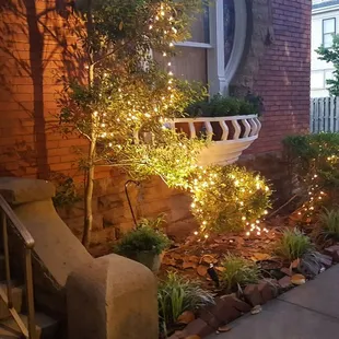 a view of the outside of the restaurant