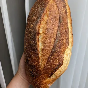 Sourdough