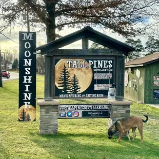 a dog sniffing a sign