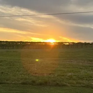 View from the patio