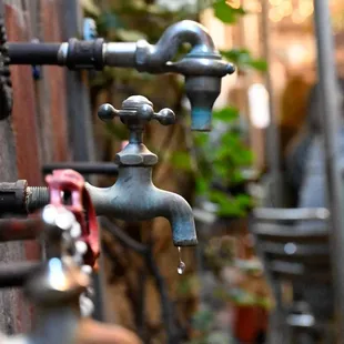 Faucets on the wall near our table lend ambiance