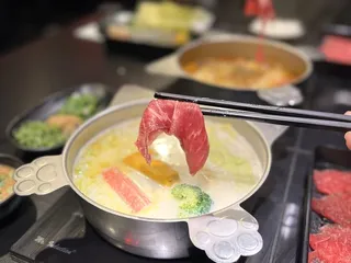 Jazz Cat Fusion Shabu