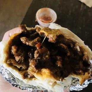 a hand holding a burrito