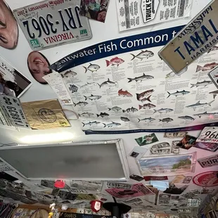 sushi and sashimi, interior