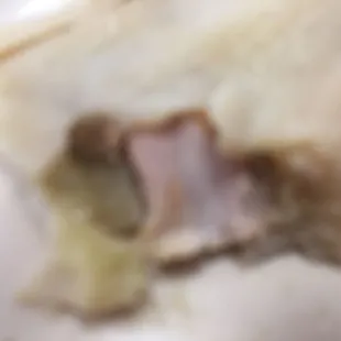 Up close and personal. Chicken tamale