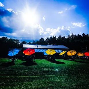 a field of umbrellas in the sun