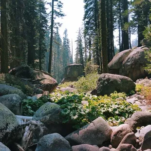 Exploring the Tamarack Flat trail.