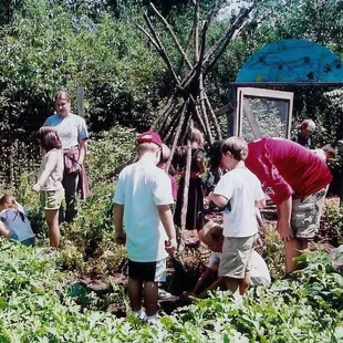 Summer Day Camp Adventures