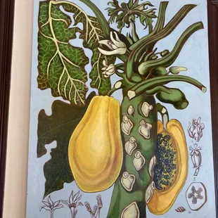 a painting of a tropical fruit