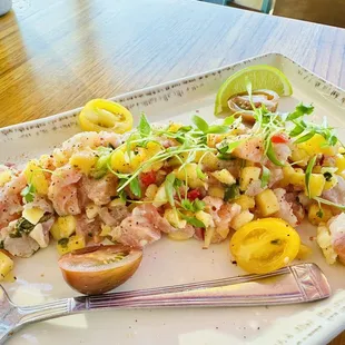 Peruvian Salmon Ceviche