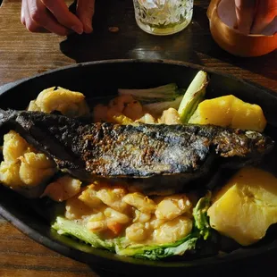 Trout