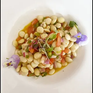 Ceviche de Tarwi