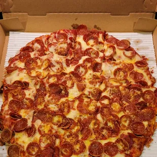 Pepperoni and extra cheese