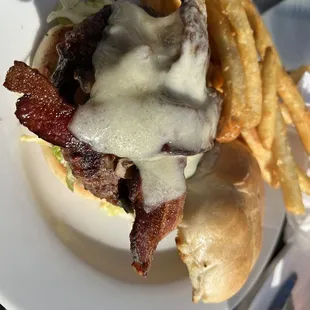 Bison Burger