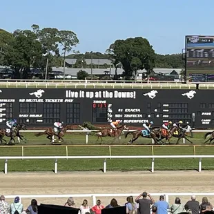 Here they come! April 13, 2024