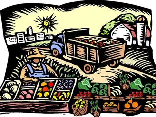 Tampa Bay Farmers Outlet