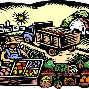 Tampa Bay Farmers Outlet
