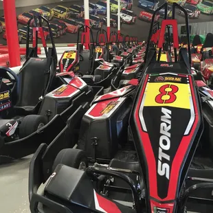 Brand New Storm Karts