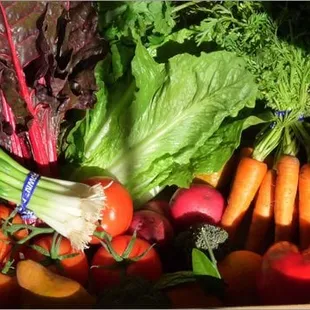 100% organic fruits and veggies