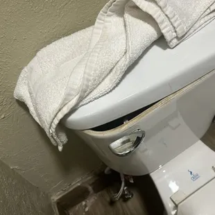 Dingy towel (and there was only 1- no washcloth, soap, etc) and the back of the toilet was left like that for some reason