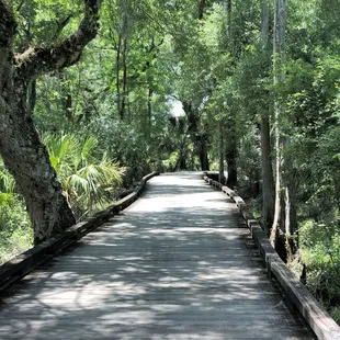 Tampa Palms Golf &amp; Country Club