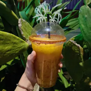 Mango chamoynito (food not shown because it was consumed too quickly)