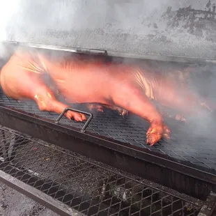Smoky the piggy....