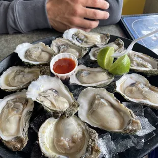 Oysters